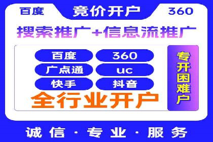 网络推广与竞价策略实战案例